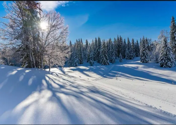 Chaleureux Studio Montagnard Avec Balcon 2402
