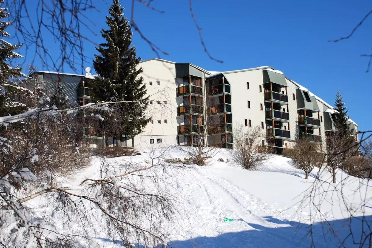 Chaleureux Montagnard Avec Balcon 2402 Premanon